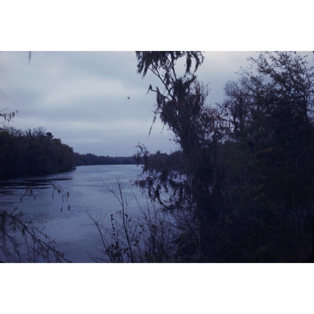 Kodak Slide 35mm 1940s Red Border, Suwannee River in northern Florida